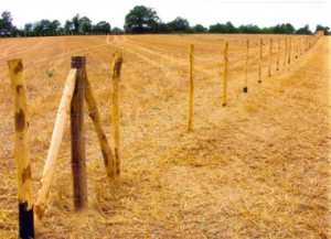 Pose de clôture herbagère par la SAS TRICHET ENVIRONNEMENT